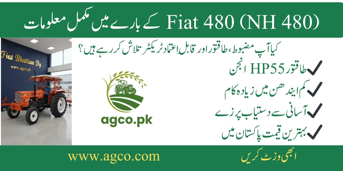 Fiat 480 price in Pakistan 2025