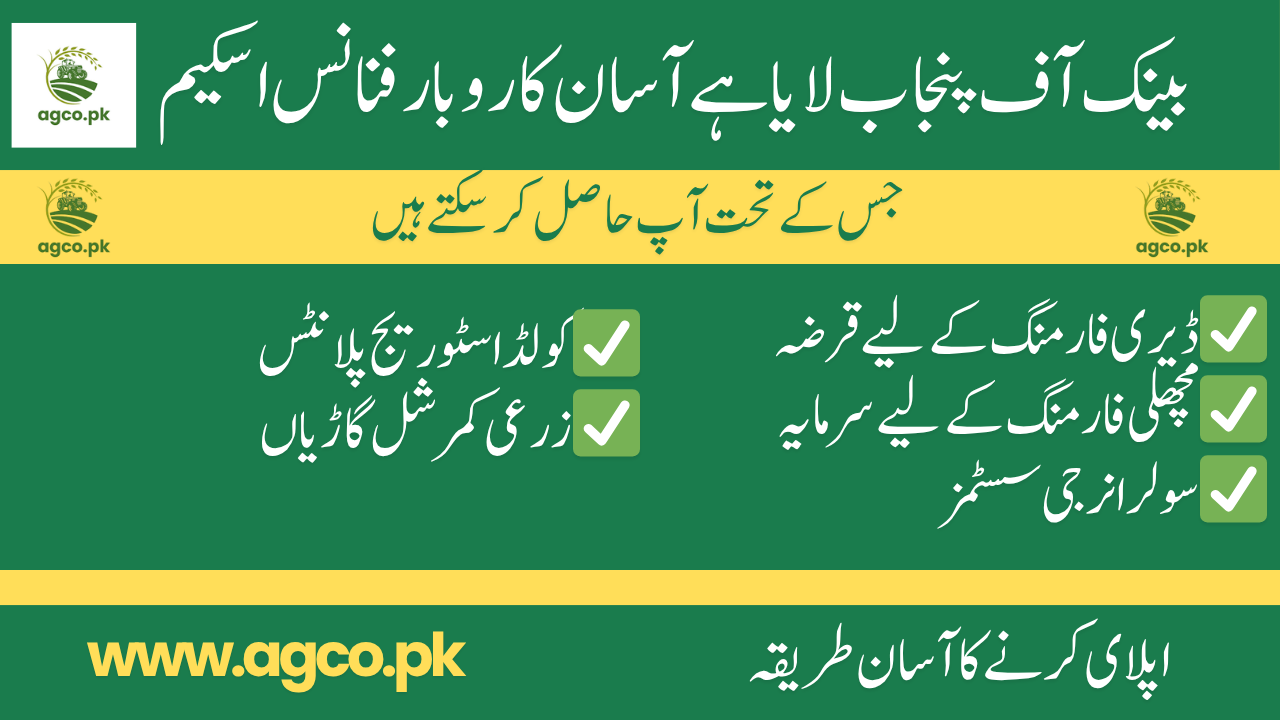 BOP Asaan Karobar Finance Scheme 2025