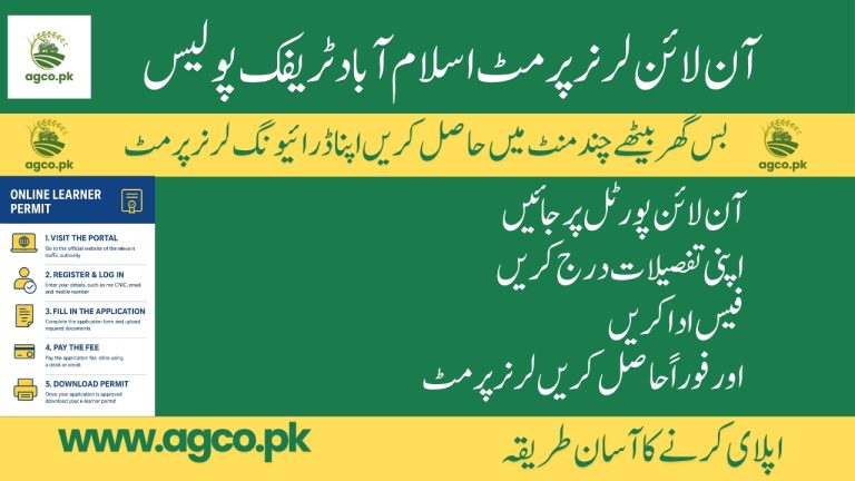 Online Learner Driving Permit Guide 2025