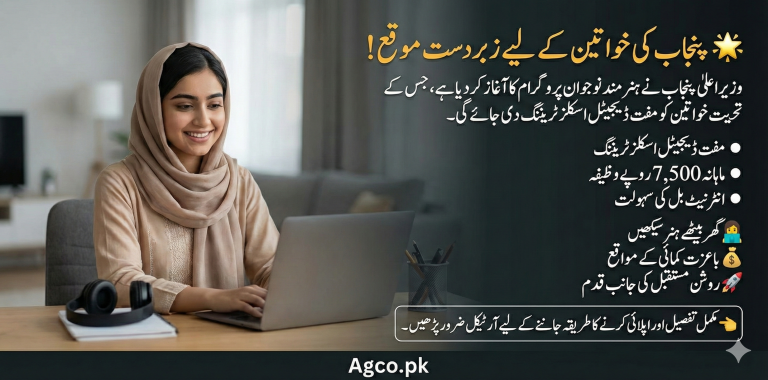 CM Punjab Hunarmand Nojwan Scheme 2026 for women