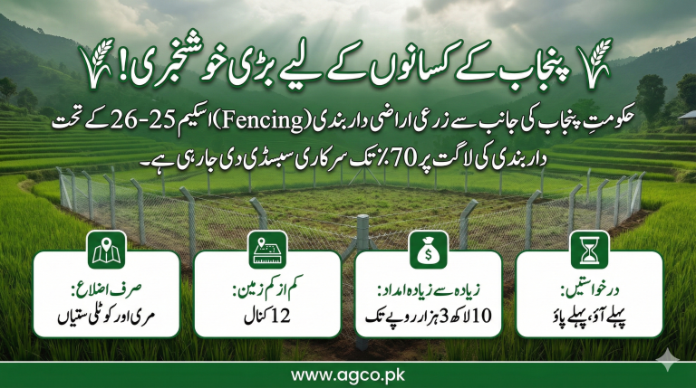 Apply for Punjab Land Fencing Scheme 2025–26 and get 70% subsidy on agricultural land fencing