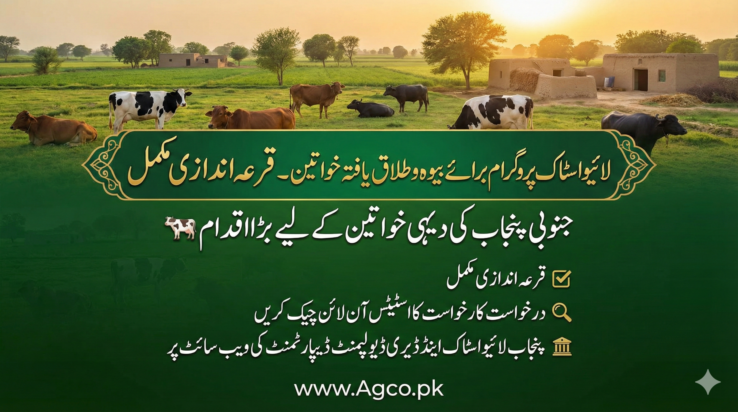CM Punjab Live Stock And Dairy Development Program For Women of South Punjab