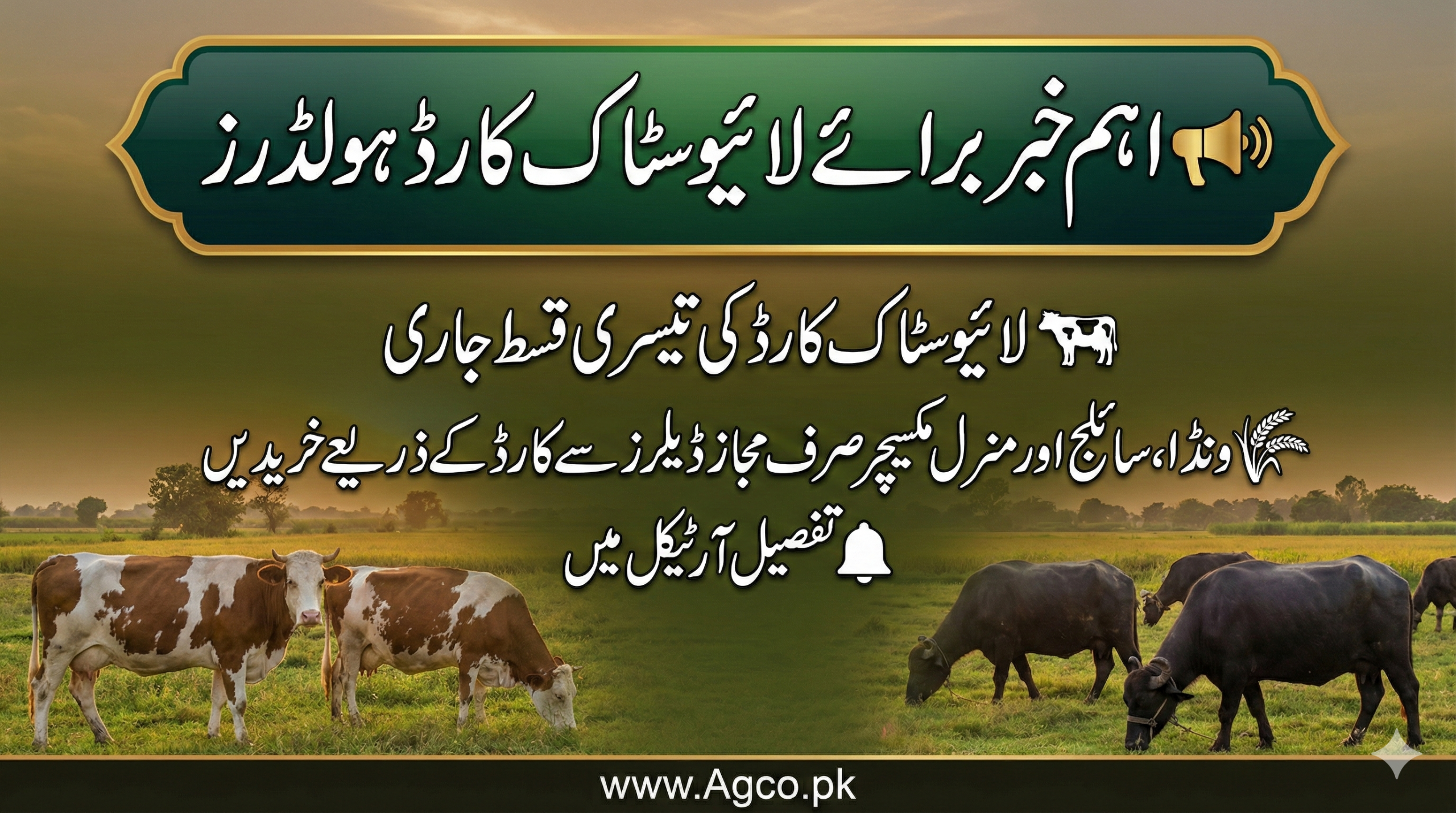 How to get third instalment through live stock card